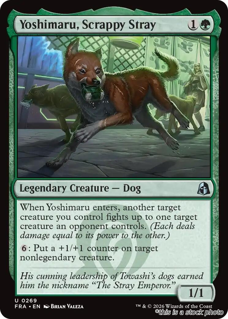 Yoshimaru, Scrappy Stray