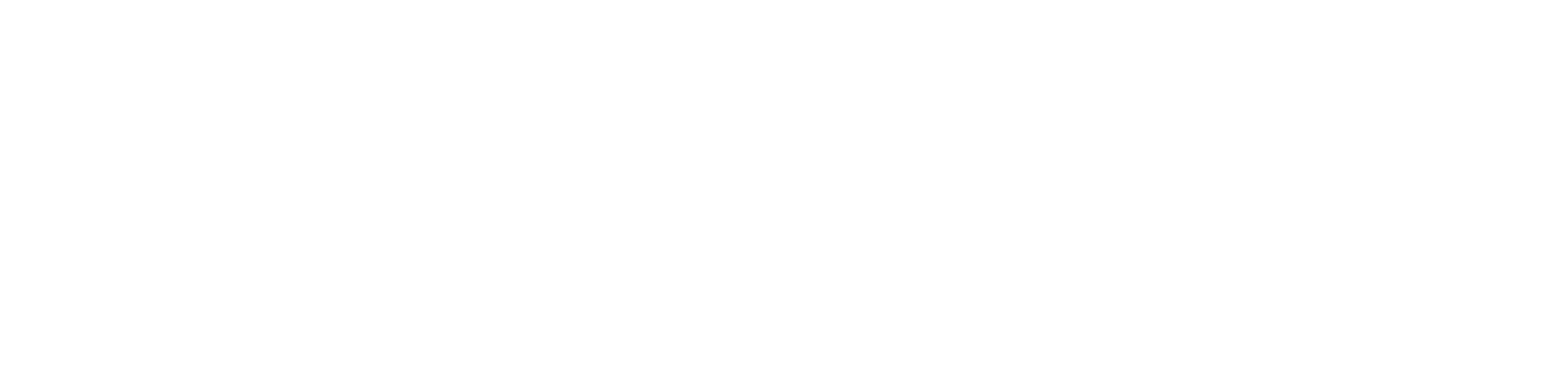 the collectible store