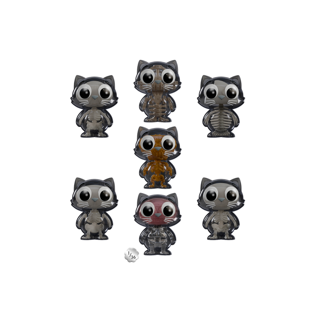 Catscans: Bare Bones - Blind Box - Kaleidos Creative